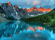 在线登录入口，让生活更便捷